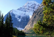 Accenture: The AI Hype, Stock Drama, and Layoff Reality – What Reddit's Saying